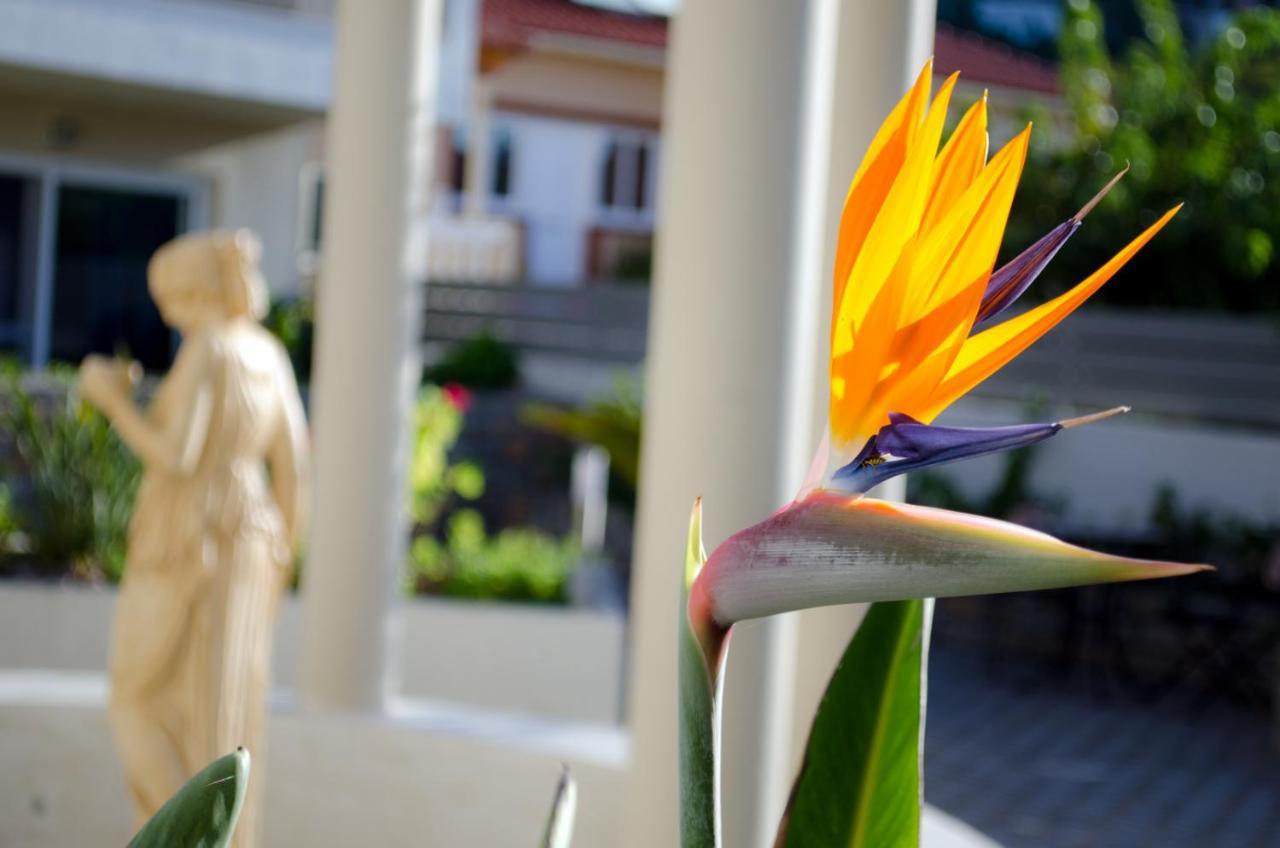 Aparthotel Estia